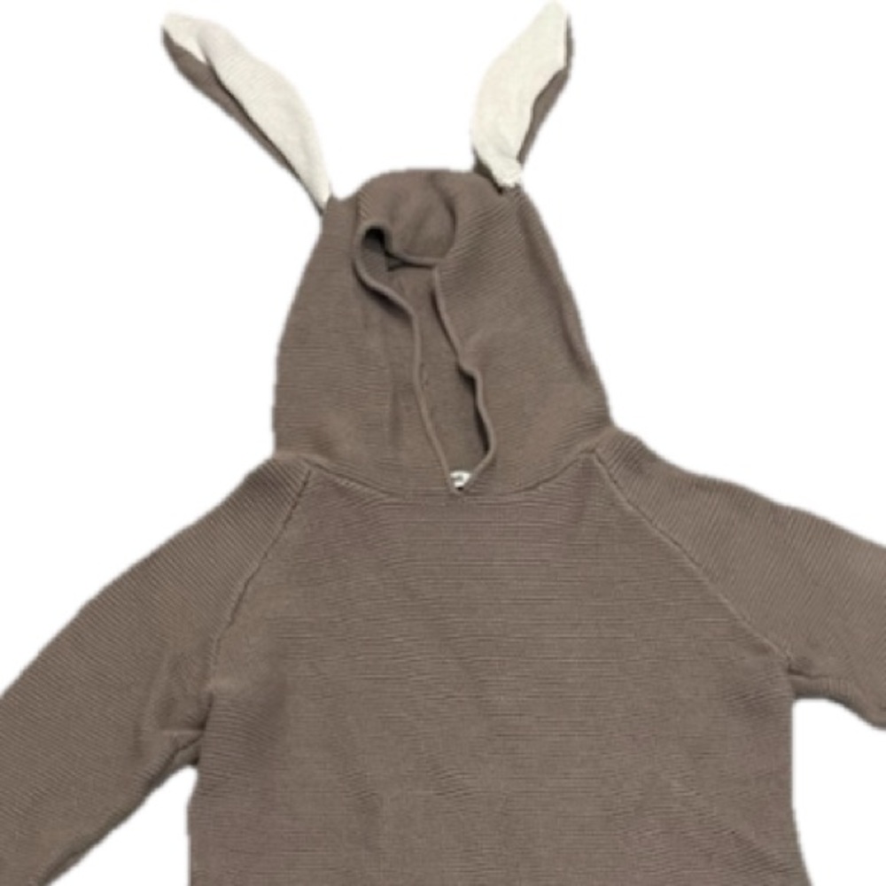 Campure Brown Hoodie with Bunny Ears Sweater Size 4